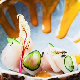 New Style Sashimi