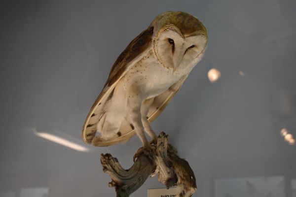 Malheur National Wildlife Refuge
