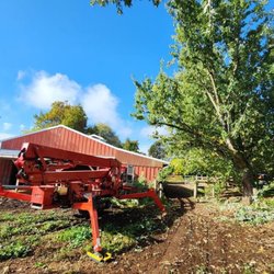 Urban Timber Tree Service