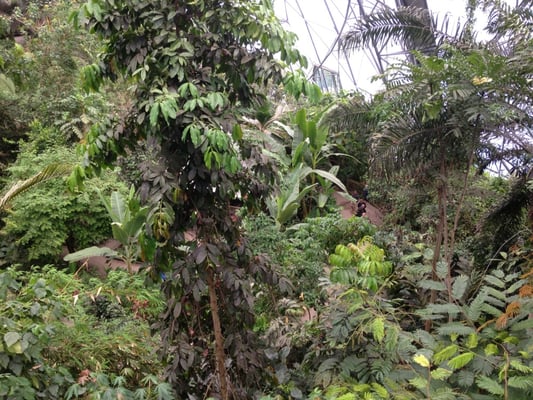 Eden Project by null