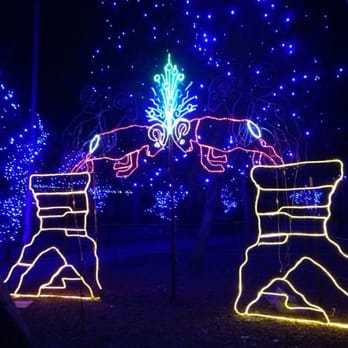 Denver Zoo Lights - The animation on the lights is delightful!! Have to see it in full effect! - Festivals Near Me - Denver, Colorado Denver Zoo Lights - The animation on the lights is delightful!! Have to see it in full effect! - Festivals Near Me - Denver, Colorado