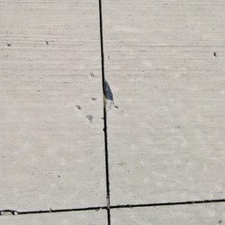 Barker Concrete