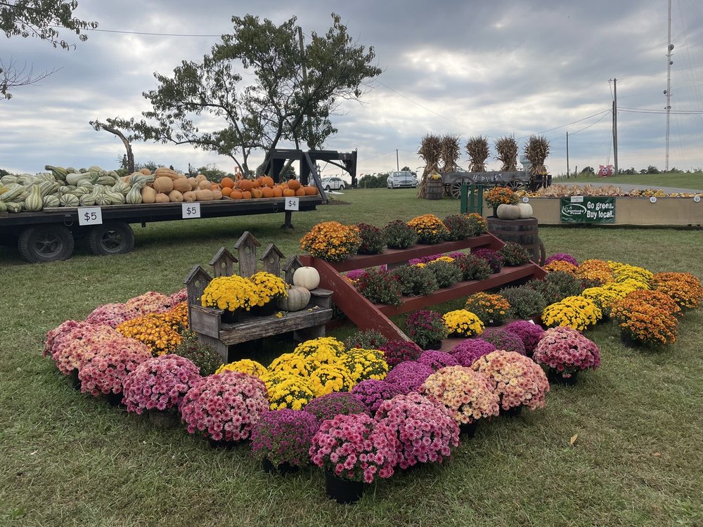 MINK AND WALTERS PUMPKIN PATCH Updated September 2024 60 Photos 2270 Springfield Rd