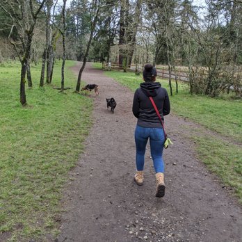 Fort Steilacoom Park - Dog Parks Near Me - Lakewood, Washington Fort Steilacoom Park - Dog Parks Near Me - Lakewood, Washington