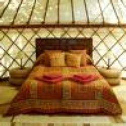 Teapot Lane Glamping