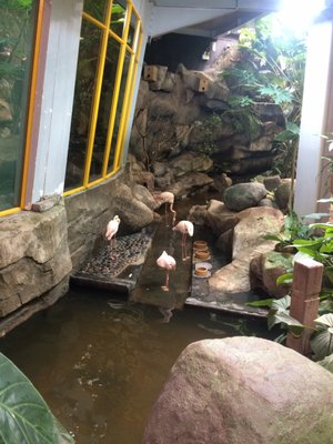 Underwater World Langkawi by null