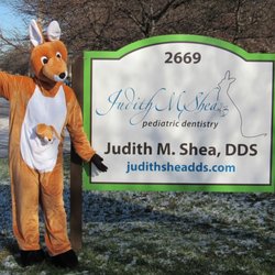 Judith M Shea, DDS
