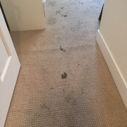 Michael's Steam Carpet Care - Before
