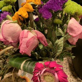 Streamwood Florist - Just a few days later. - Florists Near Me - Streamwood, Illinois Streamwood Florist - Just a few days later. - Florists Near Me - Streamwood, Illinois