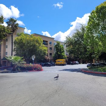 Sonesta Select San Ramon - Hotel - Hotels Near Me - San Ramon, California Sonesta Select San Ramon - Hotel - Hotels Near Me - San Ramon, California