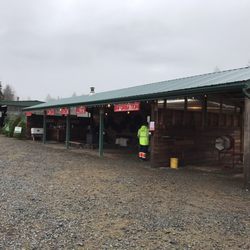 Pilchuck Secret Valley Christmas Tree Farm - Loved this place! So many trees, very well cared for! We will be back