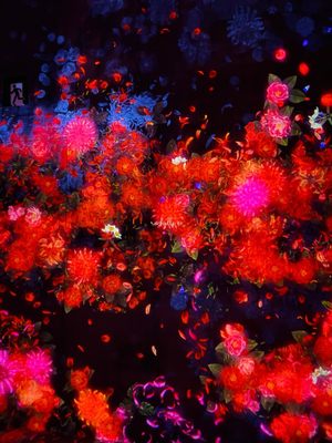 teamLab Borderless: MORI Building DIGITAL ART MUSEUM by null