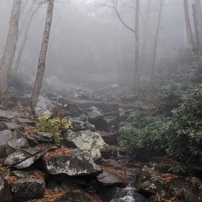 Rainbow Falls Trail by null