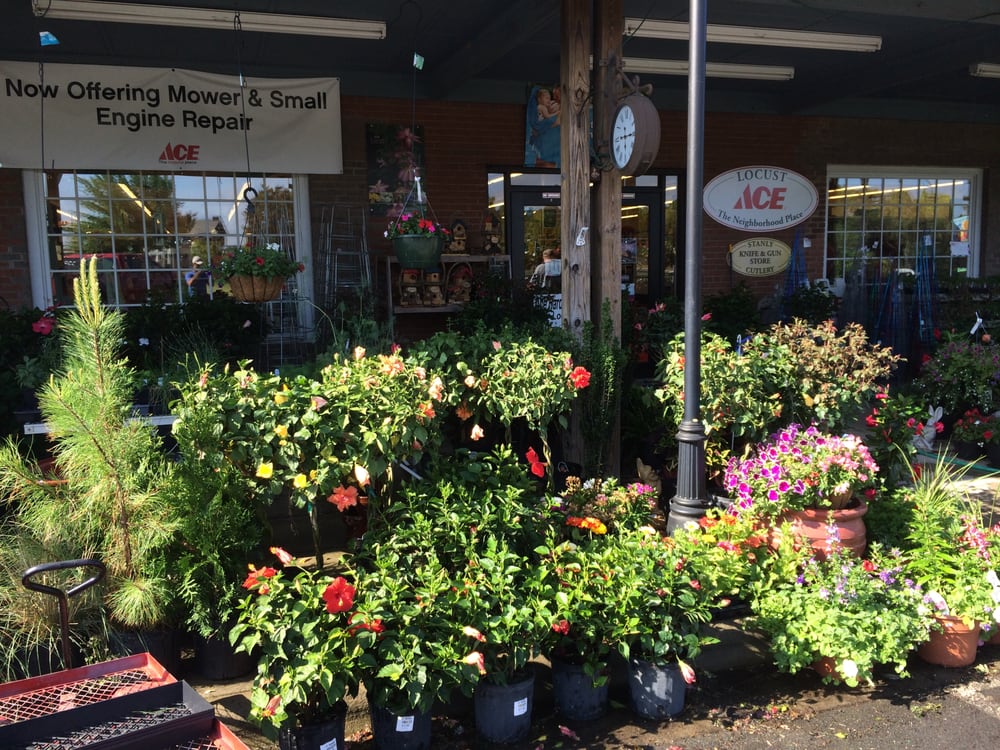 LOCUST ACE HARDWARE Updated September 2024 217 Town Center Dr, Locust, North Carolina