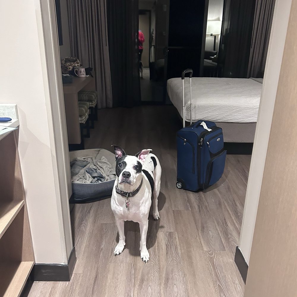 Fall Creek Falls State Park - Pet friendly rooms!! - Parks Near Me - Spencer, Tennessee