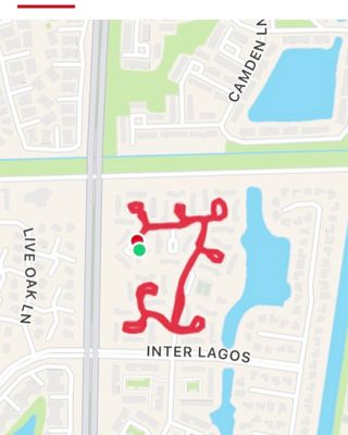 Conte's Bike Shop by null