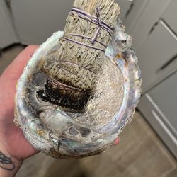 Gator Emporium - Colorado blue sage and lavender and my cute abalone shell