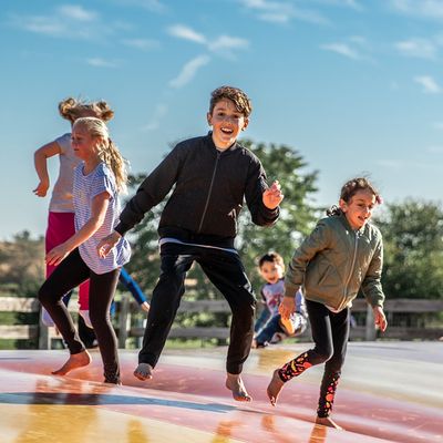 Bloomsbury Farm by null