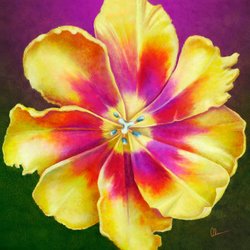 Mary Ahern Artist - Yellow Tulip Squared, a painting by the Artist, Mary Ahern