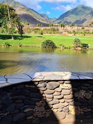 The Mill House by null