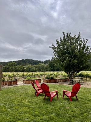 Amista Vineyards by null