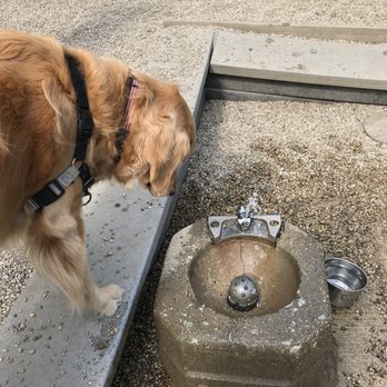 Wiggly Field - Running water fountain is a plus!! - Dog Parks Near Me - Chicago, Illinois