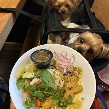 Loro Asian Smokehouse & Bar - Asian Fusion Near Me - Austin, Texas
