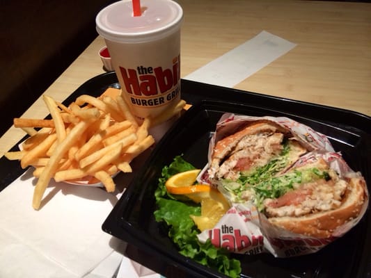 Habit Burger & Grill by null