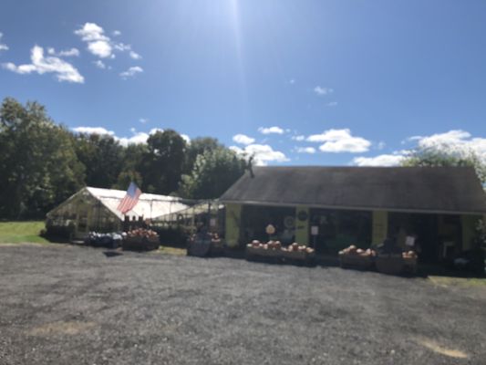 Augustine's Farm by null