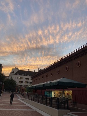 The British Library by null