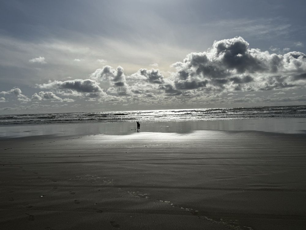 Gearhart Beach Logo