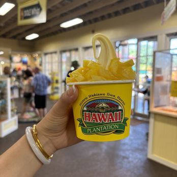 Dole Plantation - Tours Near Me - Wahiawa, Hawaii