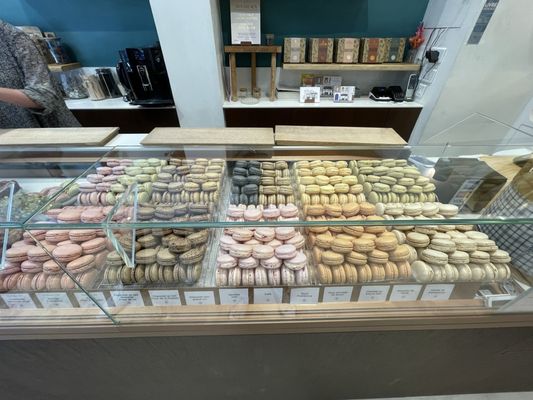 Le Jardin Sucré by null