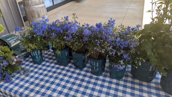 The Best of Texas Food and Wine Festival by null