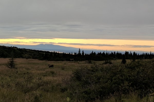Williwaw Lakes Trail by null