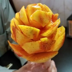Maria's Mango Landia
