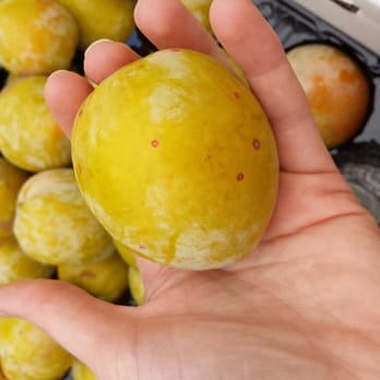 Downtown Berkeley Farmers' Market - Green plums, wow! - Farmers Market Near Me - Berkeley, California Downtown Berkeley Farmers' Market - Green plums, wow! - Farmers Market Near Me - Berkeley, California