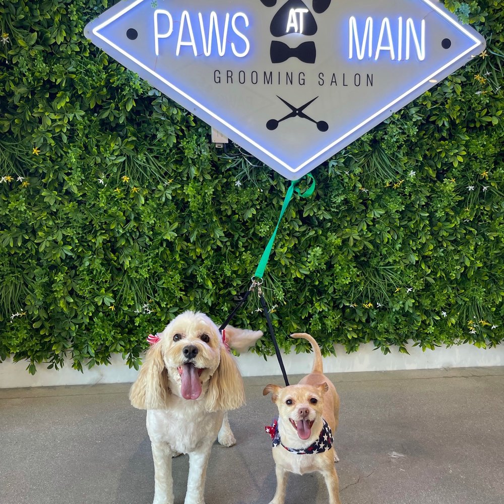 Paws At Main - Riverside - Pet Groomers Near Me - Riverside, California Paws At Main - Riverside - Pet Groomers Near Me - Riverside, California