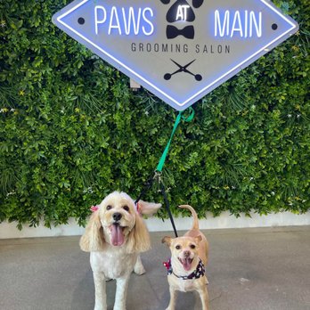 Paws At Main - Riverside - Pet Groomers Near Me - Riverside, California Paws At Main - Riverside - Pet Groomers Near Me - Riverside, California