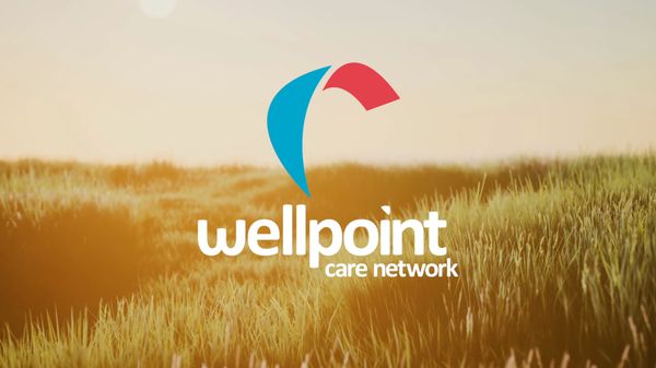 WELLPOINT CARE NETWORK - Updated July 2025 - 8901 W Capitol Dr ...