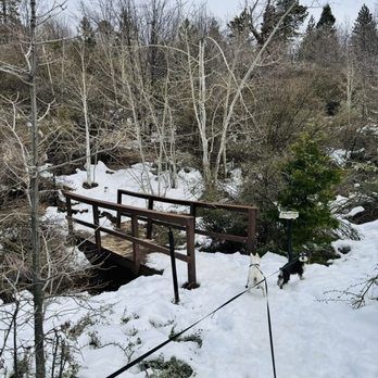Heaps Peak Arboretum  - Botanical Gardens Near Me - Lake Arrowhead, California