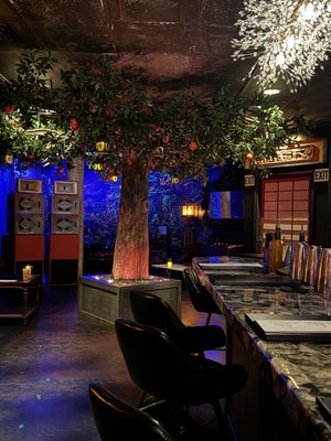 Wild Orange at HB Social Club by null