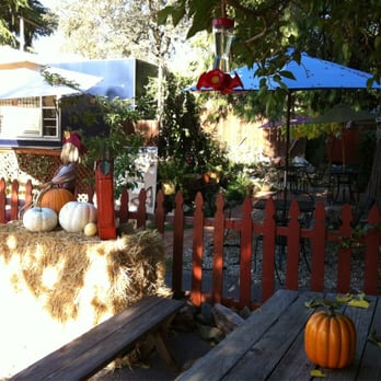Shortstop Sandwiches - a picnic table with hay bales and pumpkins - Delis Near Me - Mariposa, California