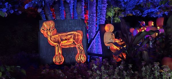 Cincinnati Zoo & Botanical Garden by null