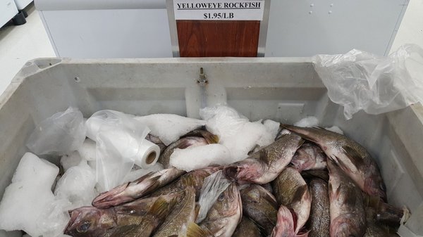 Hồng Phát Market by null