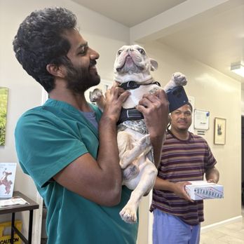 New All Creatures Veterinary Hospital - Ace paying a visit to the doctor who helped saved him. - Veterinarians Near Me - Vallejo, California New All Creatures Veterinary Hospital - Ace paying a visit to the doctor who helped saved him. - Veterinarians Near Me - Vallejo, California