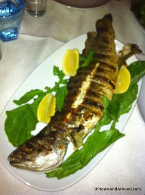 Hilmi Restaurant Balık Pazarı by null