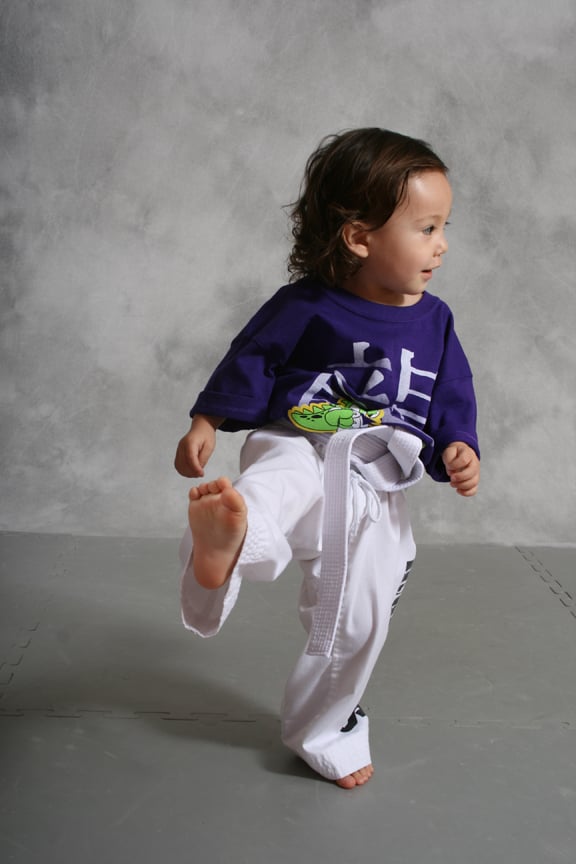 Highkicks Taekwondo Logo