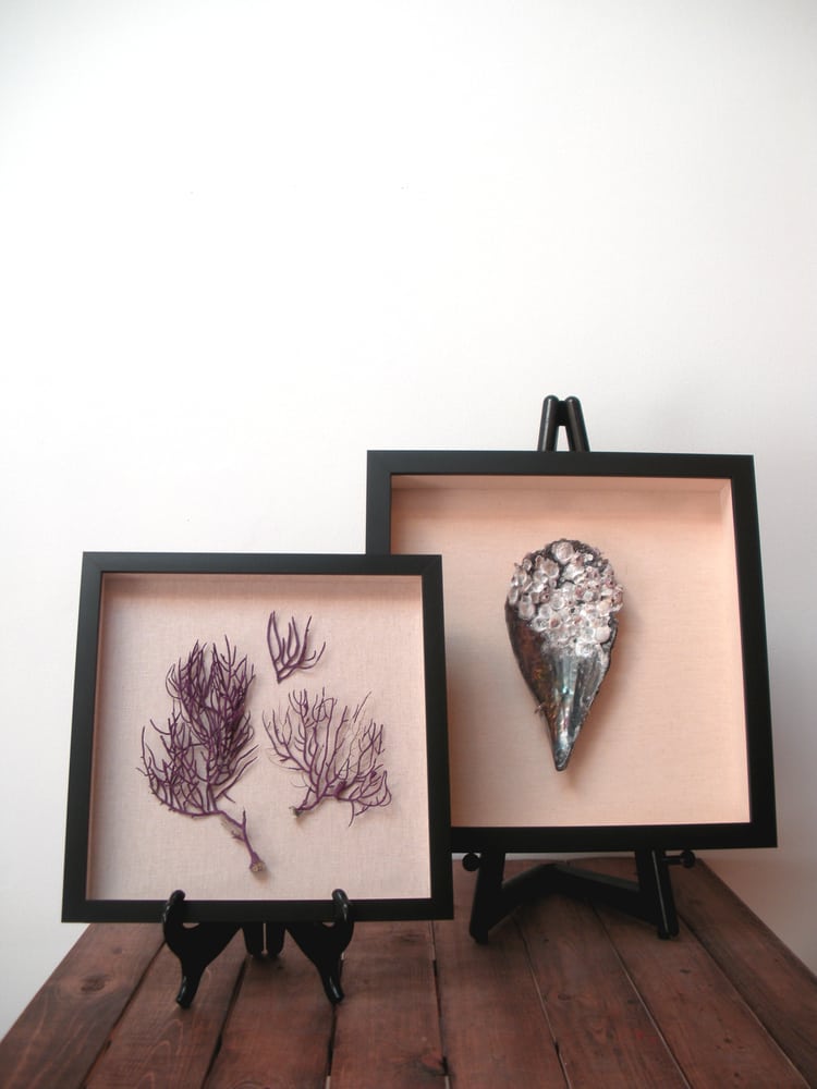 Social spots from Mingo Gallery & Custom Framing