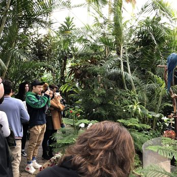 Bloedel Conservatory - Botanical Gardens Near Me - Vancouver, British Columbia